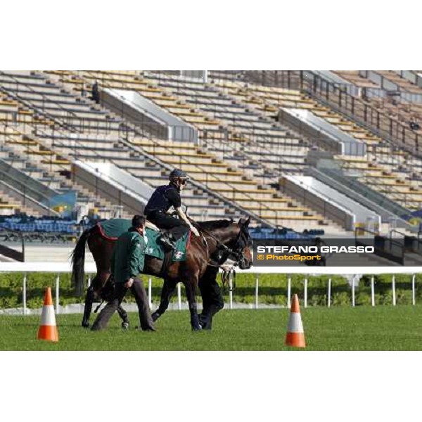 Morning track works at Sha Tin racecourse - Jakkalberry Hong Kong- Sha Tin, 9th dec. 2010 ph. Stefano Grasso