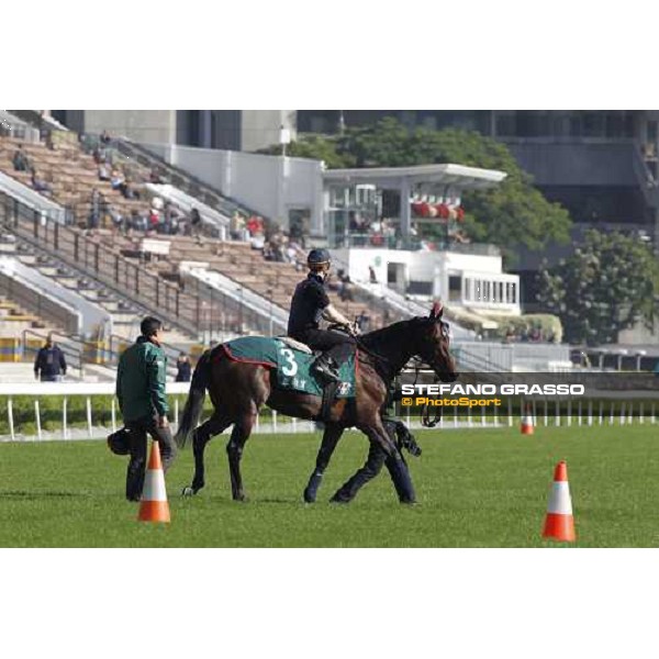 Morning track works at Sha Tin racecourse - Jakkalberry Hong Kong- Sha Tin, 9th dec. 2010 ph. Stefano Grasso