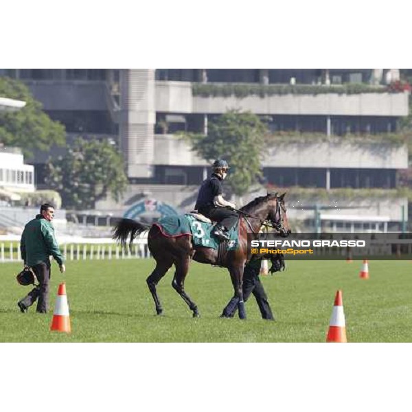 Morning track works at Sha Tin racecourse - Jakkalberry Hong Kong- Sha Tin, 9th dec. 2010 ph. Stefano Grasso