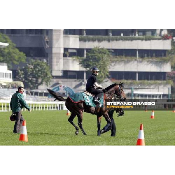 Morning track works at Sha Tin racecourse - Jakkalberry Hong Kong- Sha Tin, 9th dec. 2010 ph. Stefano Grasso
