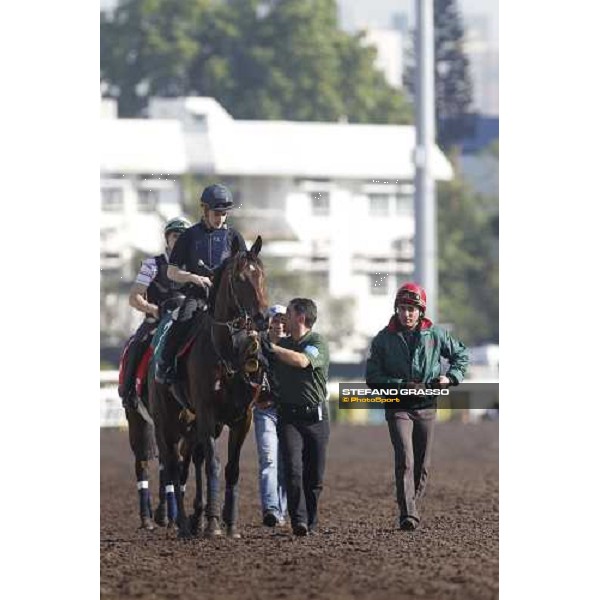 Morning track works at Sha Tin racecourse - Jakkalberry Hong Kong- Sha Tin, 9th dec. 2010 ph. Stefano Grasso
