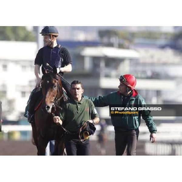 Morning track works at Sha Tin racecourse - Jakkalberry Hong Kong- Sha Tin, 9th dec. 2010 ph. Stefano Grasso
