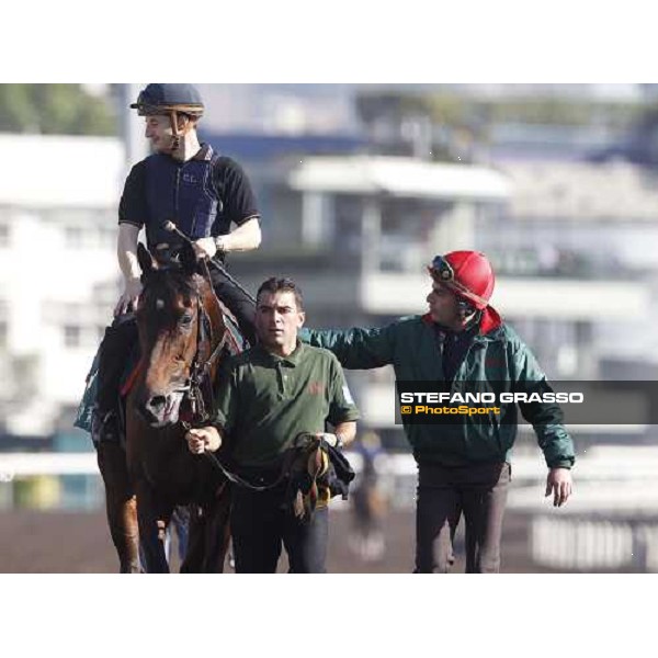 Morning track works at Sha Tin racecourse - Jakkalberry Hong Kong- Sha Tin, 9th dec. 2010 ph. Stefano Grasso