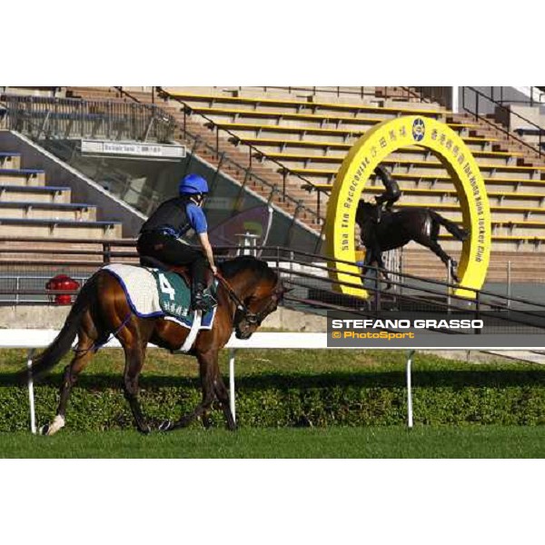 Morning trackworks at Sha Tin racetrack - Mastery and Saeed Bin Suroor Hong Kong- Sha Tin, 9th dec. 2010 ph. Stefano Grasso