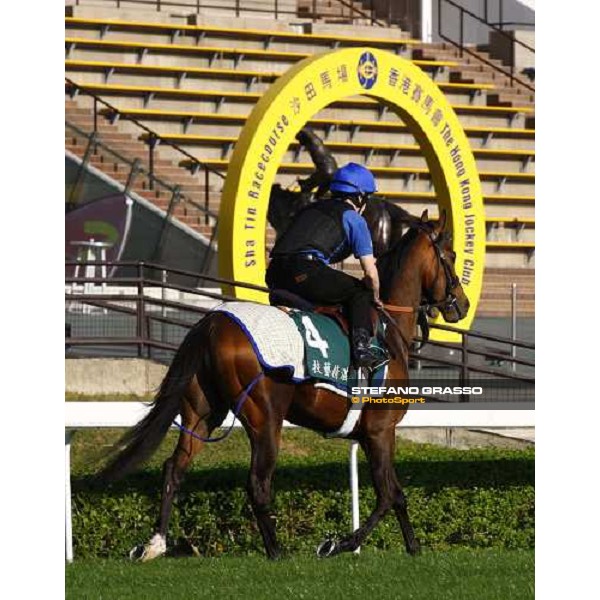 Morning trackworks at Sha Tin racetrack - Mastery and Saeed Bin Suroor Hong Kong- Sha Tin, 9th dec. 2010 ph. Stefano Grasso