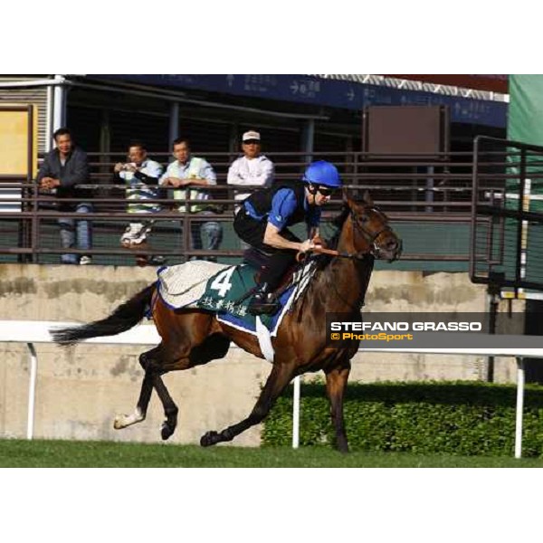 Morning trackworks at Sha Tin racetrack - Mastery and Saeed Bin Suroor Hong Kong- Sha Tin, 9th dec. 2010 ph. Stefano Grasso