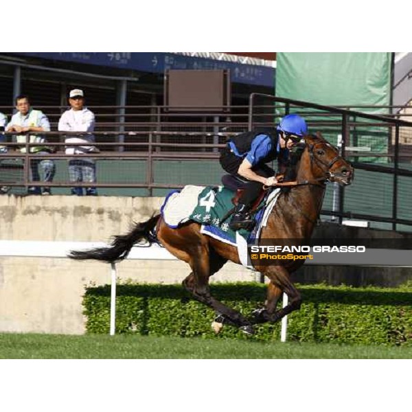 Morning trackworks at Sha Tin racetrack - Mastery and Saeed Bin Suroor Hong Kong- Sha Tin, 9th dec. 2010 ph. Stefano Grasso