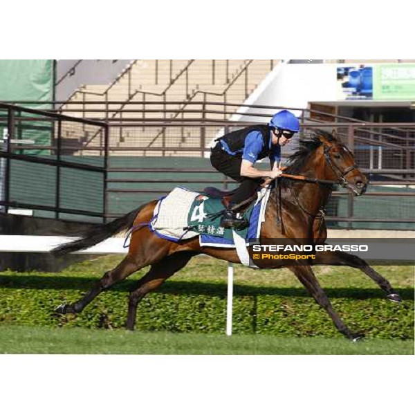 Morning trackworks at Sha Tin racetrack - Mastery and Saeed Bin Suroor Hong Kong- Sha Tin, 9th dec. 2010 ph. Stefano Grasso