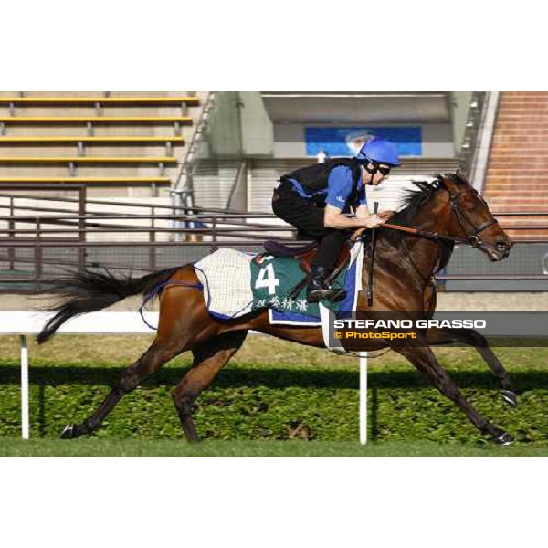 Morning trackworks at Sha Tin racetrack - Mastery and Saeed Bin Suroor Hong Kong- Sha Tin, 9th dec. 2010 ph. Stefano Grasso