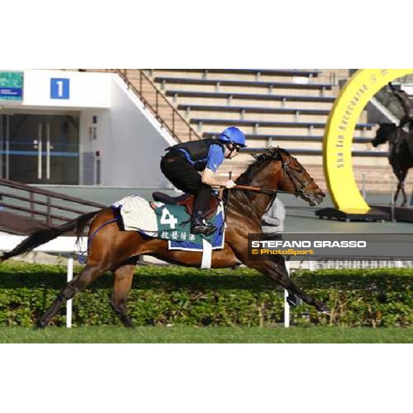 Morning trackworks at Sha Tin racetrack - Mastery and Saeed Bin Suroor Hong Kong- Sha Tin, 9th dec. 2010 ph. Stefano Grasso