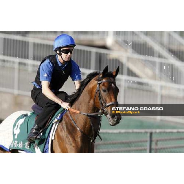 Morning trackworks at Sha Tin racetrack - Mastery and Saeed Bin Suroor Hong Kong- Sha Tin, 9th dec. 2010 ph. Stefano Grasso