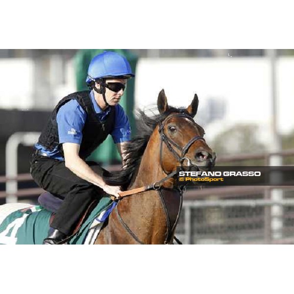 Morning trackworks at Sha Tin racetrack - Mastery and Saeed Bin Suroor Hong Kong- Sha Tin, 9th dec. 2010 ph. Stefano Grasso