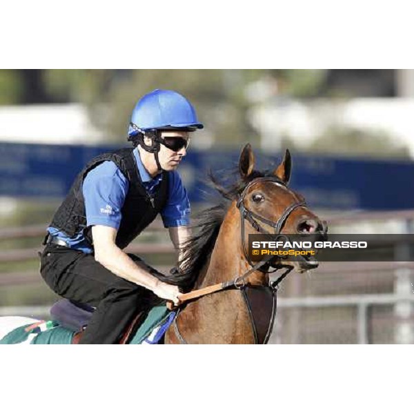 Morning trackworks at Sha Tin racetrack - Mastery and Saeed Bin Suroor Hong Kong- Sha Tin, 9th dec. 2010 ph. Stefano Grasso