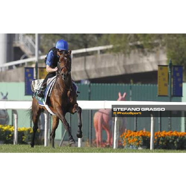 Morning trackworks at Sha Tin racetrack - Mastery and Saeed Bin Suroor Hong Kong- Sha Tin, 9th dec. 2010 ph. Stefano Grasso