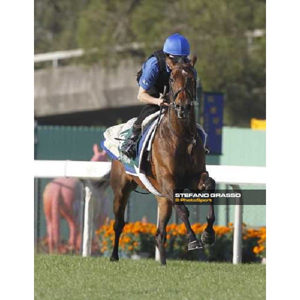 Morning trackworks at Sha Tin racetrack - Mastery and Saeed Bin Suroor Hong Kong- Sha Tin, 9th dec. 2010 ph. Stefano Grasso