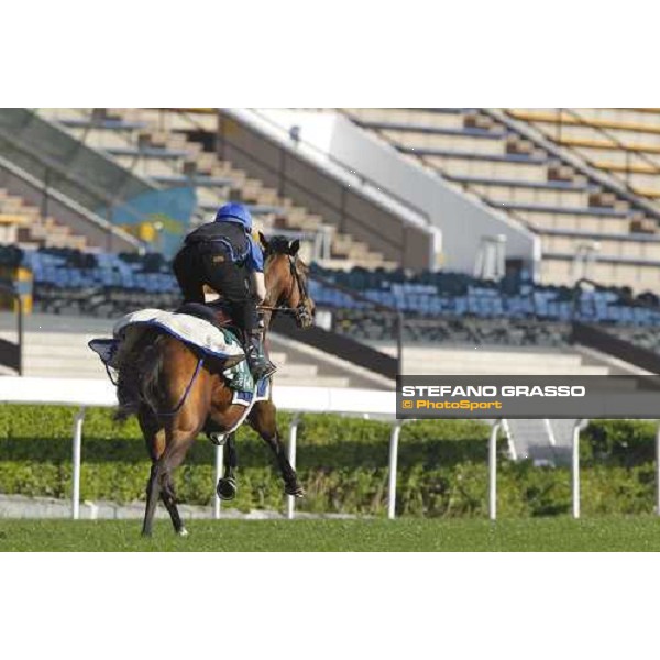 Morning trackworks at Sha Tin racetrack - Mastery and Saeed Bin Suroor Hong Kong- Sha Tin, 9th dec. 2010 ph. Stefano Grasso