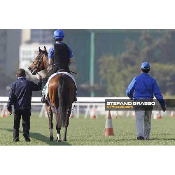 Morning trackworks at Sha Tin racetrack - Mastery and Saeed Bin Suroor Hong Kong- Sha Tin, 9th dec. 2010 ph. Stefano Grasso