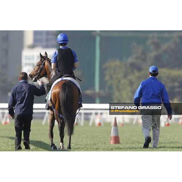 Morning trackworks at Sha Tin racetrack - Mastery and Saeed Bin Suroor Hong Kong- Sha Tin, 9th dec. 2010 ph. Stefano Grasso