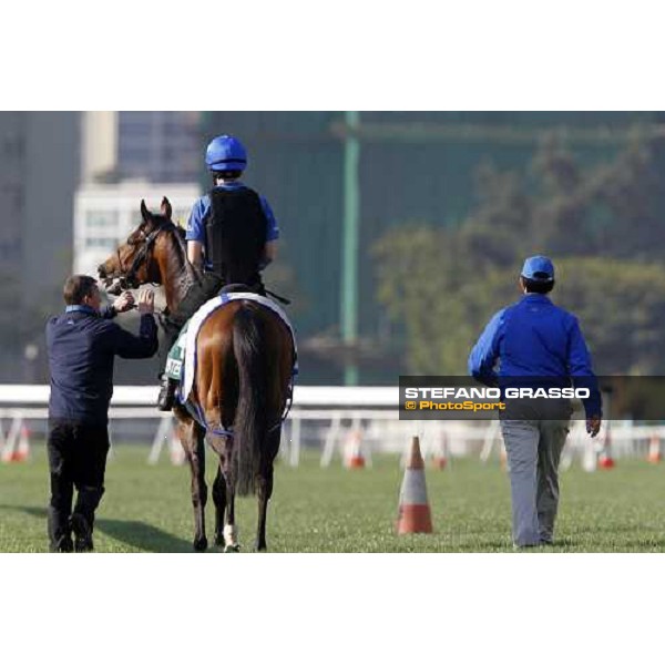 Morning trackworks at Sha Tin racetrack - Mastery and Saeed Bin Suroor Hong Kong- Sha Tin, 9th dec. 2010 ph. Stefano Grasso