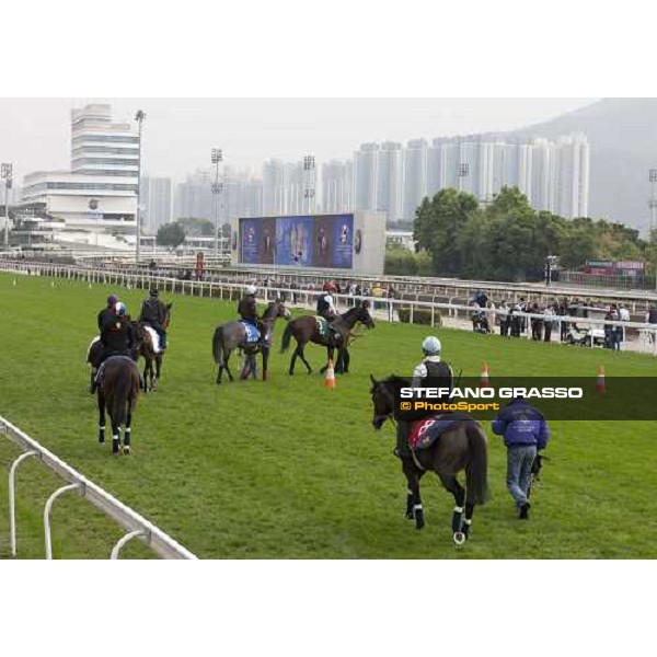 Morning track works at Sha Tin racecourse - Jakkalberry and Endo Botti lead a group of horses Hong Kong- Sha Tin, 10th dec. 2010 ph. Stefano Grasso