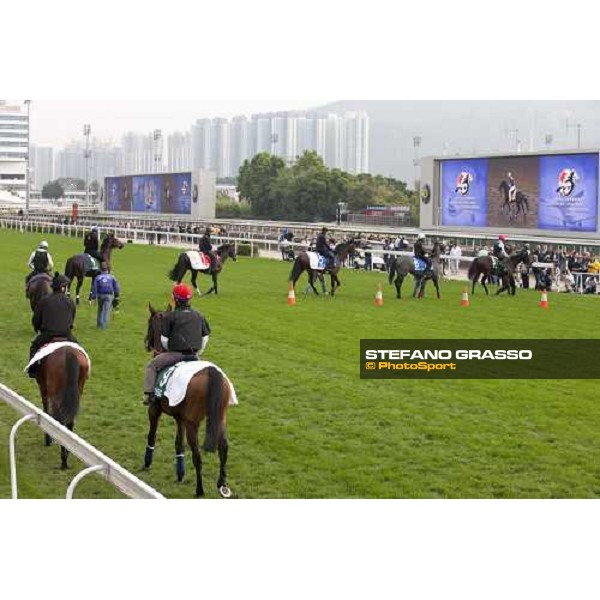 Morning track works at Sha Tin racecourse - Jakkalberry and Endo Botti lead a group of horses Hong Kong- Sha Tin, 10th dec. 2010 ph. Stefano Grasso