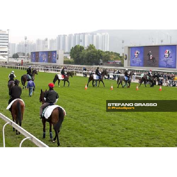 Morning track works at Sha Tin racecourse - Jakkalberry and Endo Botti lead a group of horses Hong Kong- Sha Tin, 10th dec. 2010 ph. Stefano Grasso