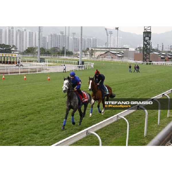 Morning track works at Sha Tin racecourse - Glass Harmonium and Ryan Moore on Crystal Capella Hong Kong- Sha Tin, 10th dec. 2010 ph. Stefano Grasso
