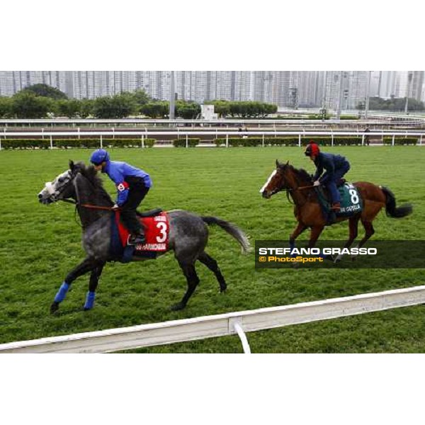 Morning track works at Sha Tin racecourse - Glass Harmonium and Ryan Moore on Crystal Capella Hong Kong- Sha Tin, 10th dec. 2010 ph. Stefano Grasso
