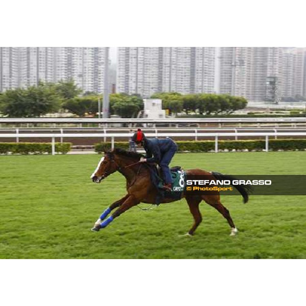 Morning track works at Sha Tin racecourse - Ryan Moore on Crystal Capella Hong Kong- Sha Tin, 10th dec. 2010 ph. Stefano Grasso