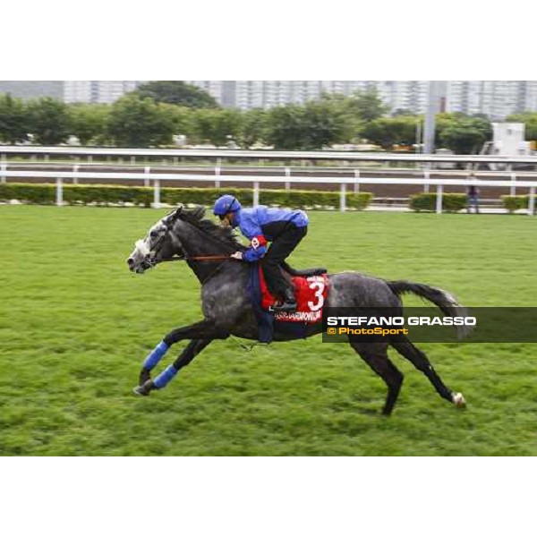 Morning track works at Sha Tin racecourse - Glass Harmonium Hong Kong- Sha Tin, 10th dec. 2010 ph. Stefano Grasso