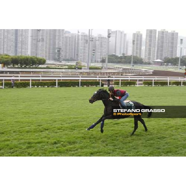 Morning track works at Sha Tin racecourse - Redwood Hong Kong- Sha Tin, 10th dec. 2010 ph. Stefano Grasso