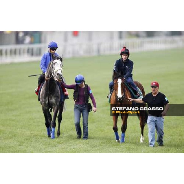 Morning track works at Sha Tin racecourse - Glass Harmonium and Ryan Moore on Crystal Capella Hong Kong- Sha Tin, 10th dec. 2010 ph. Stefano Grasso
