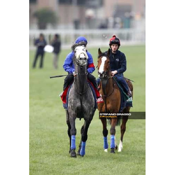 Morning track works at Sha Tin racecourse - Glass Harmonium and Ryan Moore on Crystal Capella Hong Kong- Sha Tin, 10th dec. 2010 ph. Stefano Grasso
