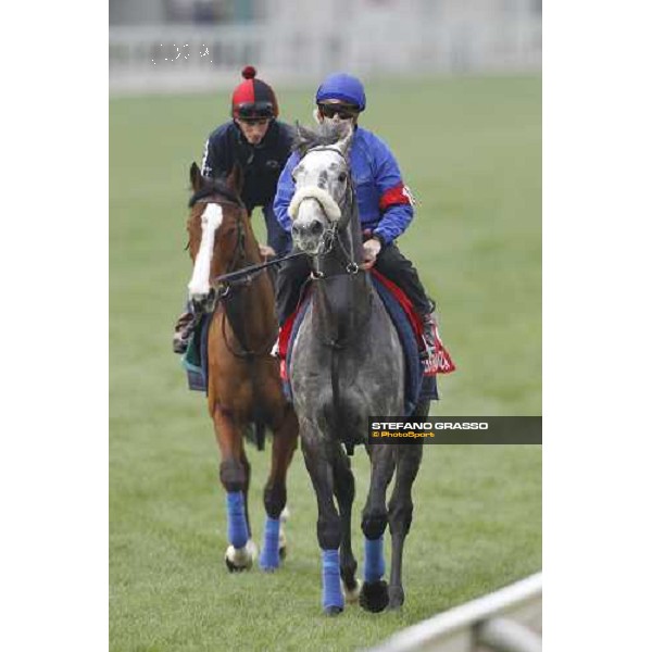 Morning track works at Sha Tin racecourse - Glass Harmonium and Ryan Moore on Crystal Capella Hong Kong- Sha Tin, 10th dec. 2010 ph. Stefano Grasso