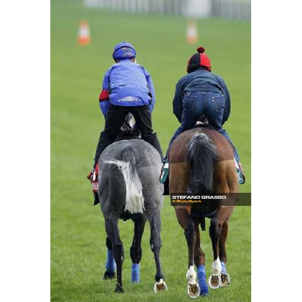 Morning track works at Sha Tin racecourse - Glass Harmonium and Ryan Moore on Crystal Capella Hong Kong- Sha Tin, 10th dec. 2010 ph. Stefano Grasso