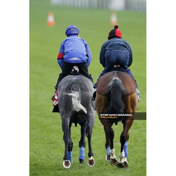 Morning track works at Sha Tin racecourse - Glass Harmonium and Ryan Moore on Crystal Capella Hong Kong- Sha Tin, 10th dec. 2010 ph. Stefano Grasso