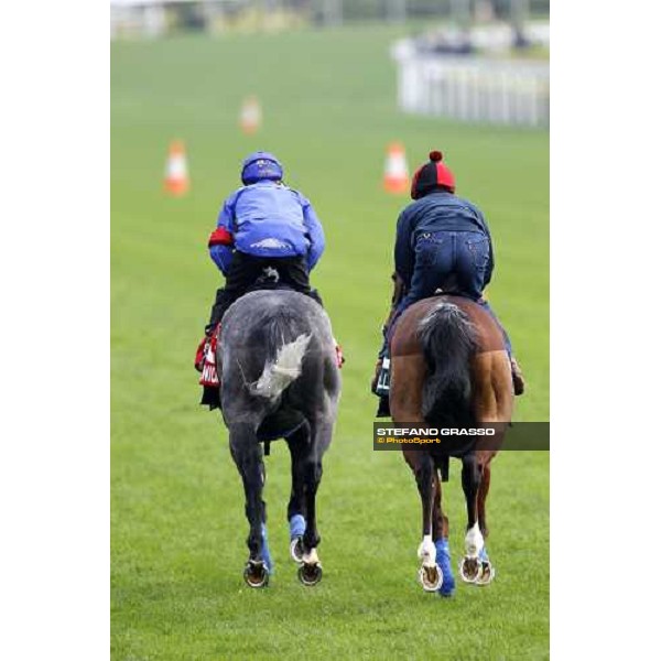 Morning track works at Sha Tin racecourse - Glass Harmonium and Ryan Moore on Crystal Capella Hong Kong- Sha Tin, 10th dec. 2010 ph. Stefano Grasso