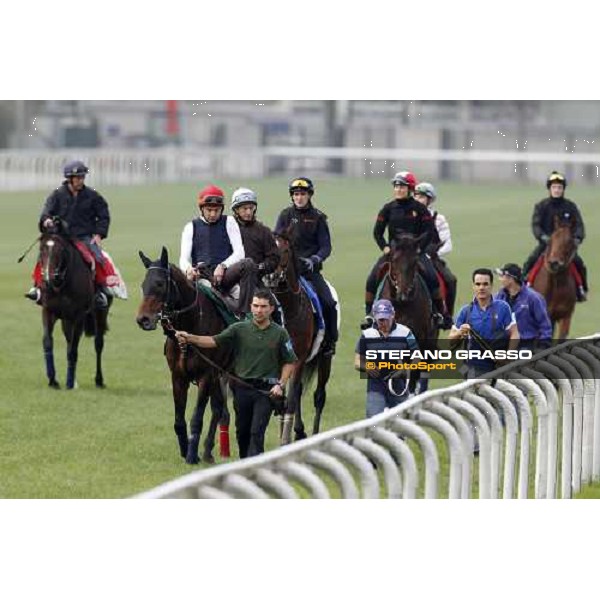 Morning track works at Sha Tin racecourse - Endo Botti on Jakkalberry leads a group of horses going to the morning worksout Hong Kong- Sha Tin, 10th dec. 2010 ph. Stefano Grasso