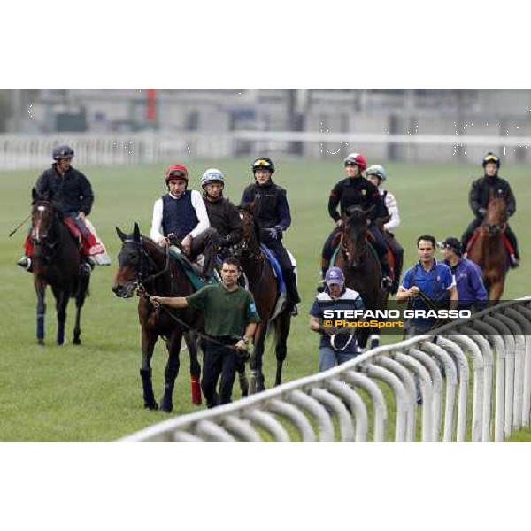 Morning track works at Sha Tin racecourse - Endo Botti on Jakkalberry leads a group of horses going to the morning worksout Hong Kong- Sha Tin, 10th dec. 2010 ph. Stefano Grasso