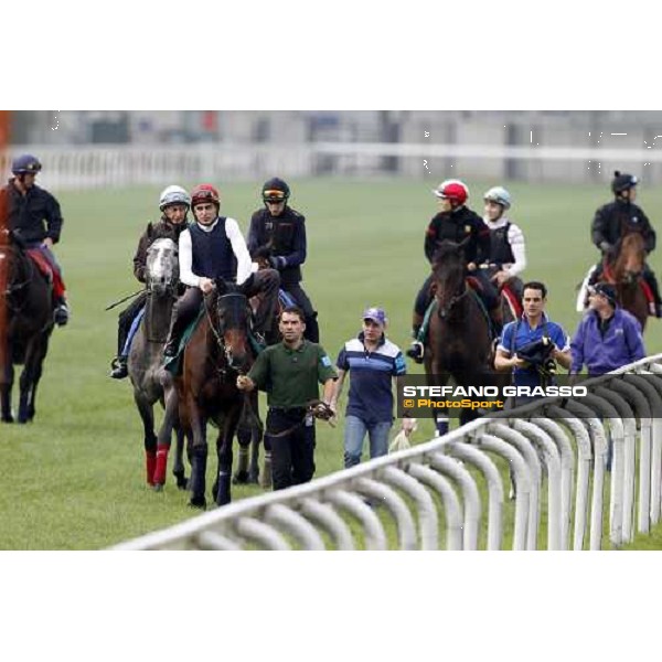 Morning track works at Sha Tin racecourse - Endo Botti on Jakkalberry leads a group of horses going to the morning worksout Hong Kong- Sha Tin, 10th dec. 2010 ph. Stefano Grasso