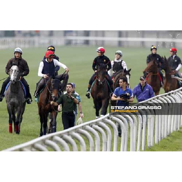 Morning track works at Sha Tin racecourse - Endo Botti on Jakkalberry leads a group of horses going to the morning worksout Hong Kong- Sha Tin, 10th dec. 2010 ph. Stefano Grasso