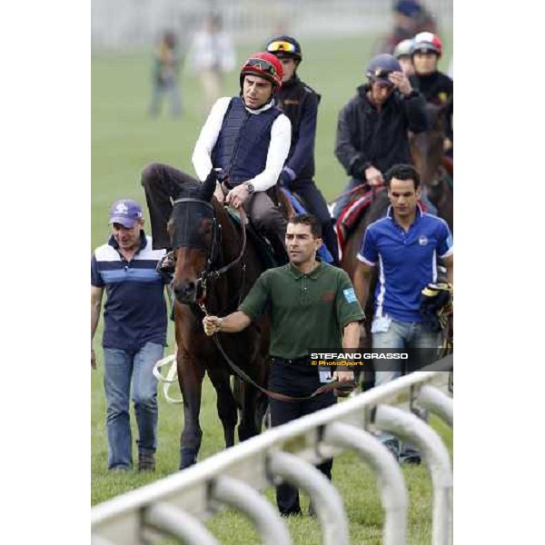 Morning track works at Sha Tin racecourse - Endo Botti on Jakkalberry leads a group of horses going to the morning worksout Hong Kong- Sha Tin, 10th dec. 2010 ph. Stefano Grasso