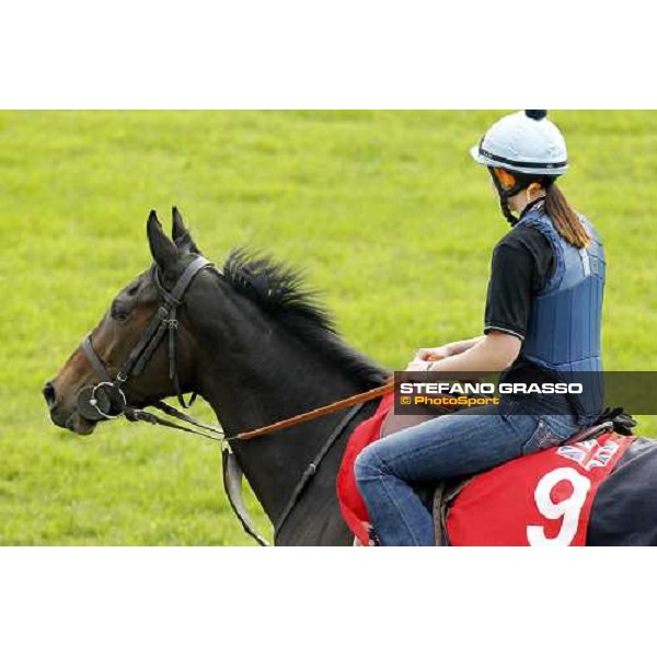 Morning track works at Sha Tin racecourse - Snow Fairy Hong Kong- Sha Tin, 10th dec. 2010 ph. Stefano Grasso