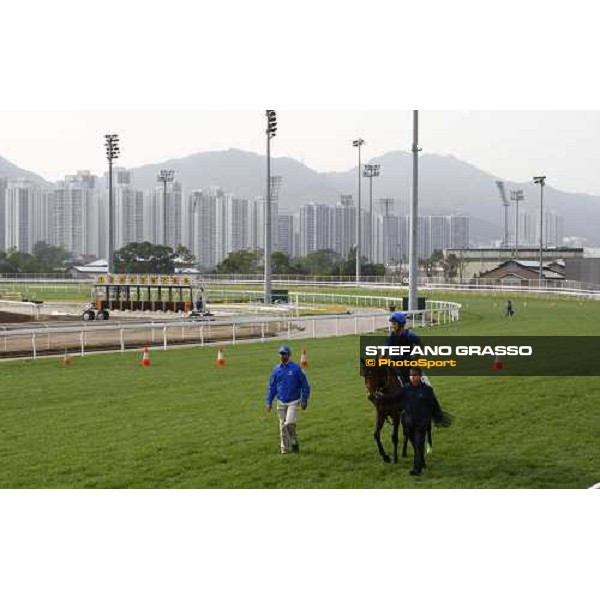 Morning track works at Sha Tin racecourse - Mastery Hong Kong- Sha Tin, 10th dec. 2010 ph. Stefano Grasso