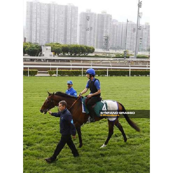 Morning track works at Sha Tin racecourse - Mastery Hong Kong- Sha Tin, 10th dec. 2010 ph. Stefano Grasso