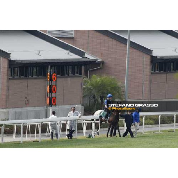 Morning track works at Sha Tin racecourse - Mastery Hong Kong- Sha Tin, 10th dec. 2010 ph. Stefano Grasso