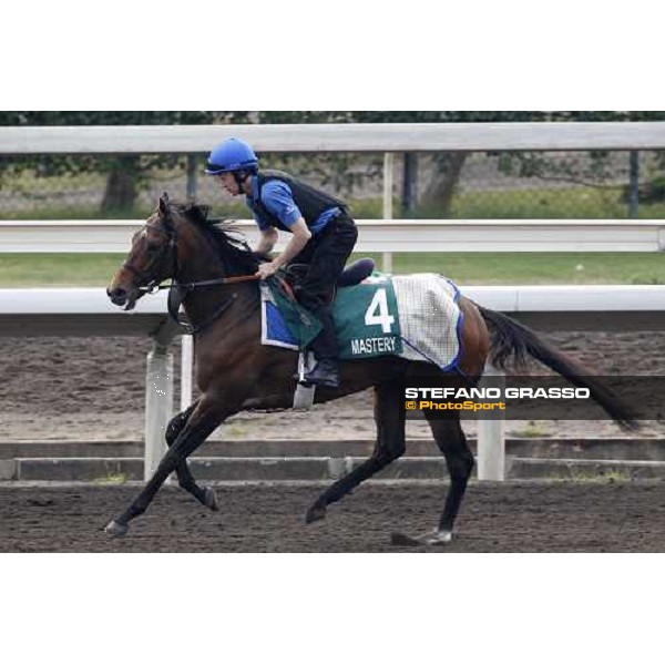 Morning track works at Sha Tin racecourse - Mastery Hong Kong- Sha Tin, 10th dec. 2010 ph. Stefano Grasso