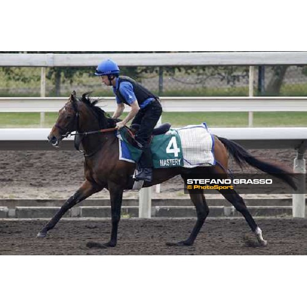 Morning track works at Sha Tin racecourse - Mastery Hong Kong- Sha Tin, 10th dec. 2010 ph. Stefano Grasso