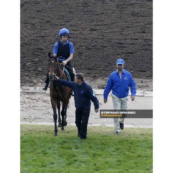Morning track works at Sha Tin racecourse - Mastery Hong Kong- Sha Tin, 10th dec. 2010 ph. Stefano Grasso