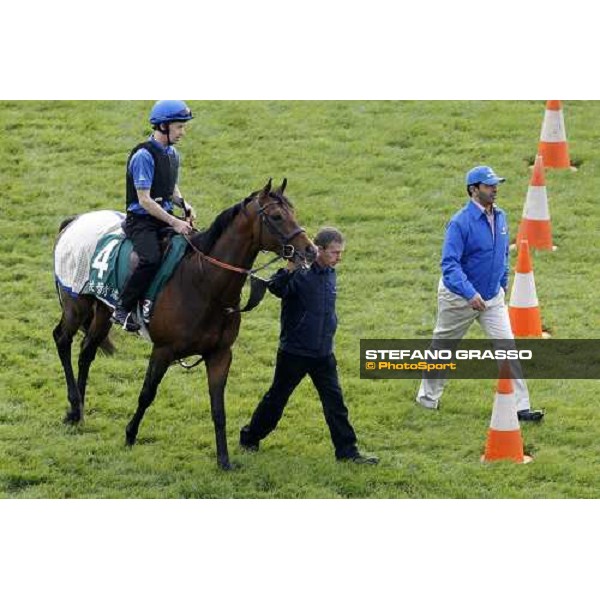 Morning track works at Sha Tin racecourse - Mastery Hong Kong- Sha Tin, 10th dec. 2010 ph. Stefano Grasso